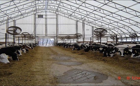 Hayvan Besi Çadırı